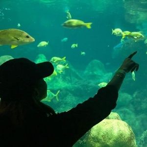 Meet your Posher, Vivian